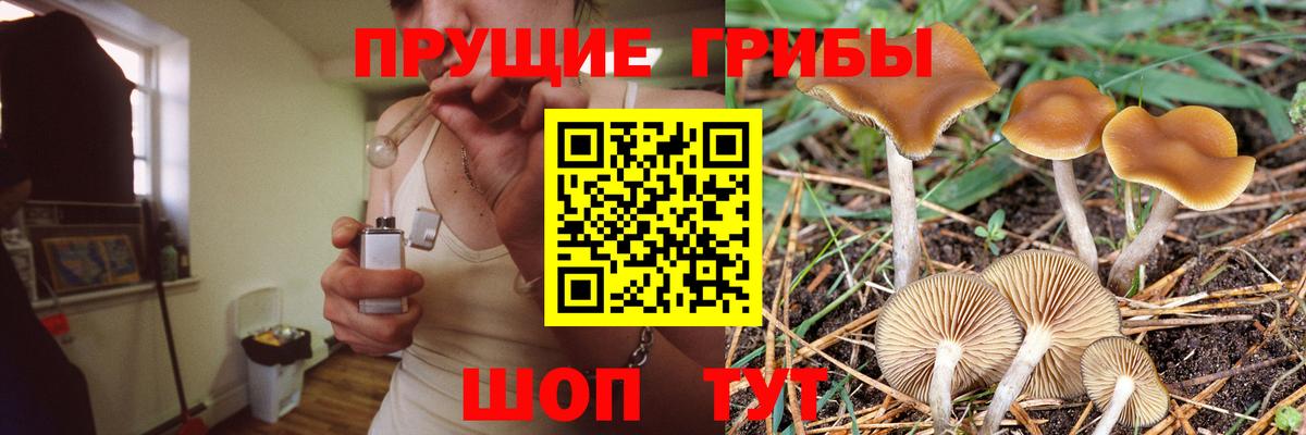 Изобильный  Псилоцибиновые грибы Cubensis  Вход с VPN  Псилоцибиновые грибы мухоморы 